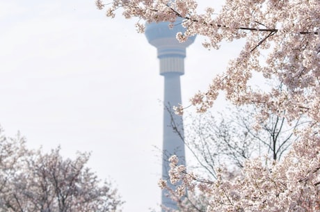 七夕情人节图片大全(七夕情人节图片大全)