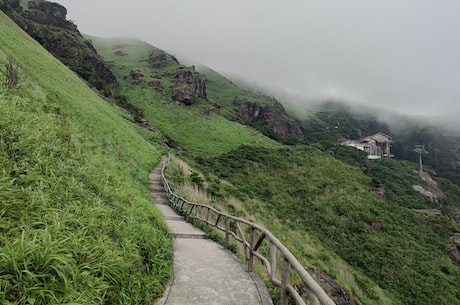 止水铜片厂家 春风桃李花开早