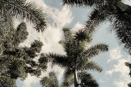 缘之空 免费樱花动漫 《缘之空》里打扑克的场景十分凶残