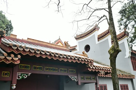 李景儿(探索李景儿脚踏实地发展之路)