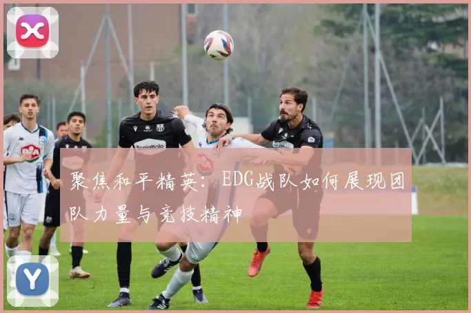 聚焦和平精英：EDG战队如何展现团队力量与竞技精神