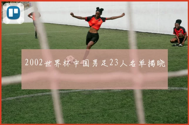 2002世界杯中国男足23人名单揭晓