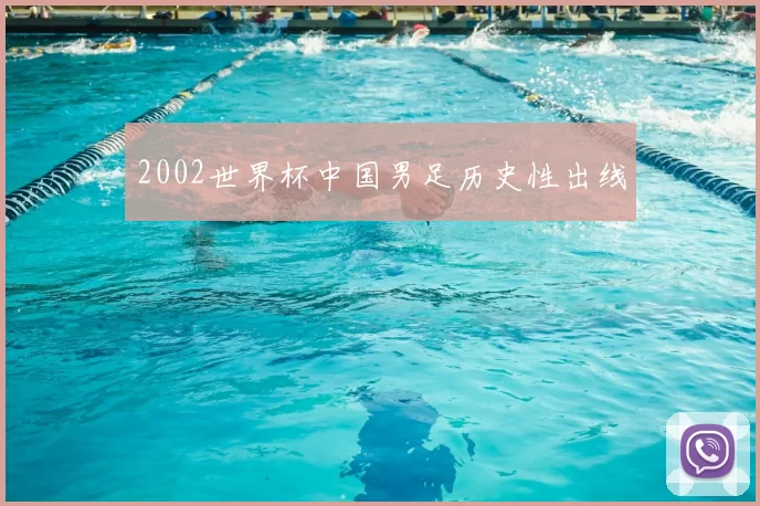 2002世界杯中国男足历史性出线