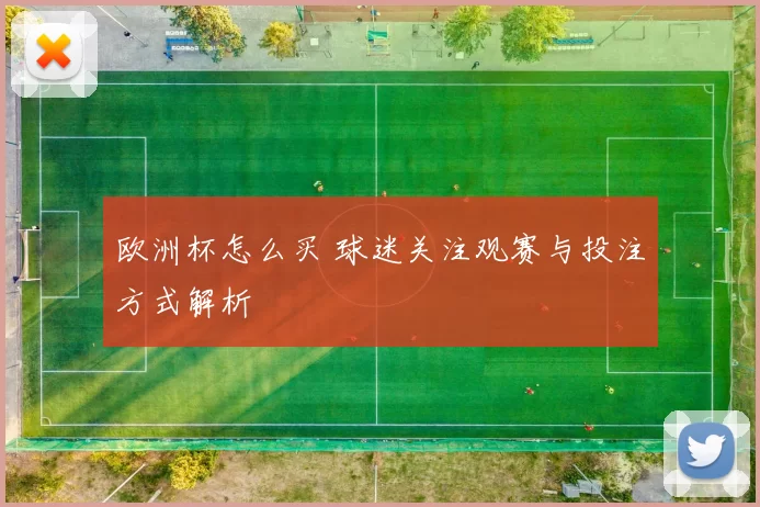 欧洲杯怎么买 球迷关注观赛与投注方式解析
