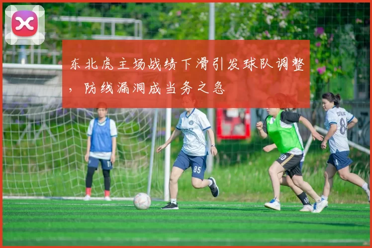 东北虎主场战绩下滑引发球队调整,防线漏洞成当务之急