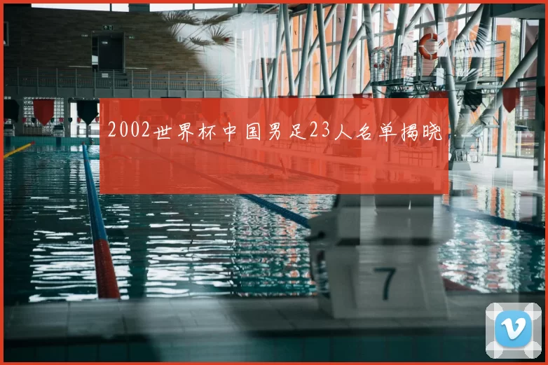 2002世界杯中国男足23人名单揭晓
