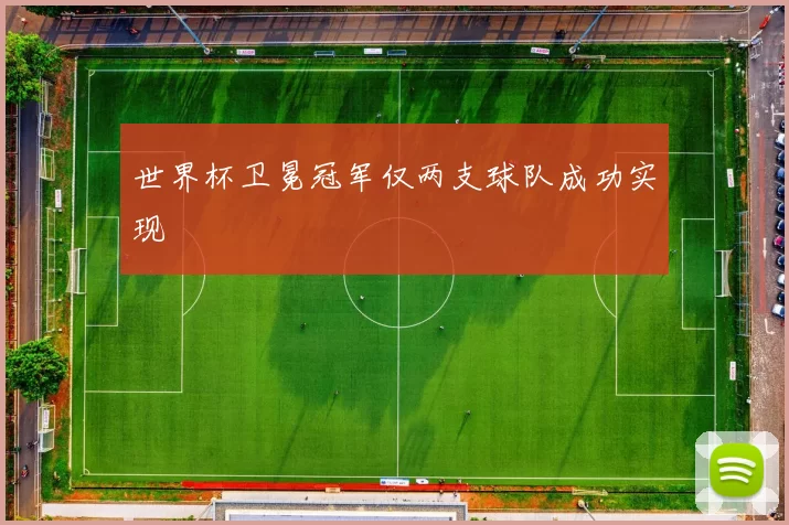 世界杯卫冕冠军仅两支球队成功实现