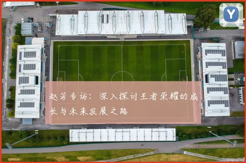 赵芳专访:深入探讨王者荣耀的成长与未来发展之路